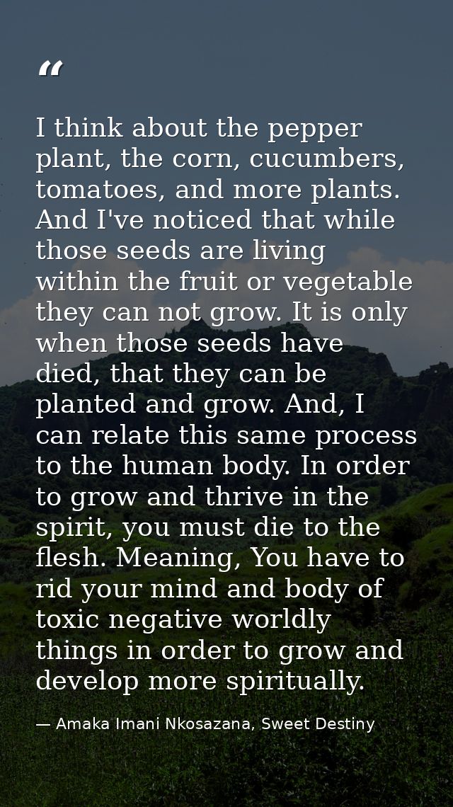 I think about the pepper plant, the corn, cucumbers, tomatoes, and more plants. And I've noticed that while those seeds  — Amaka Imani Nkosazana, Sweet Destiny