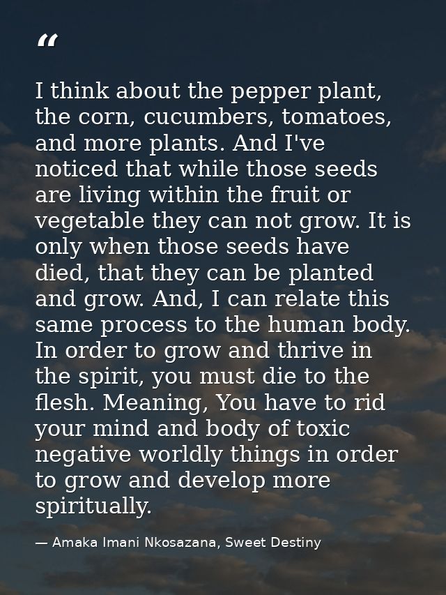 I think about the pepper plant, the corn, cucumbers, tomatoes, and more plants. And I've noticed that while those seeds  — Amaka Imani Nkosazana, Sweet Destiny