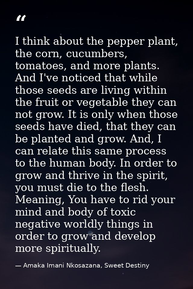 I think about the pepper plant, the corn, cucumbers, tomatoes, and more plants. And I've noticed that while those seeds  — Amaka Imani Nkosazana, Sweet Destiny