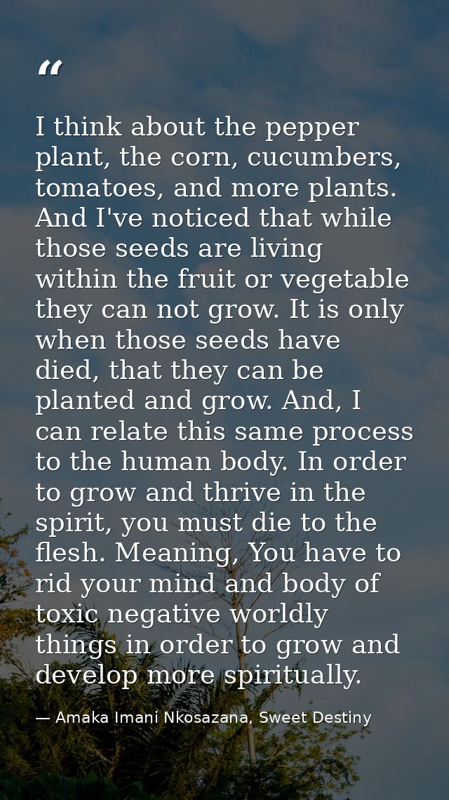 I think about the pepper plant, the corn, cucumbers, tomatoes, and more plants. And I've noticed that while those seeds  — Amaka Imani Nkosazana, Sweet Destiny