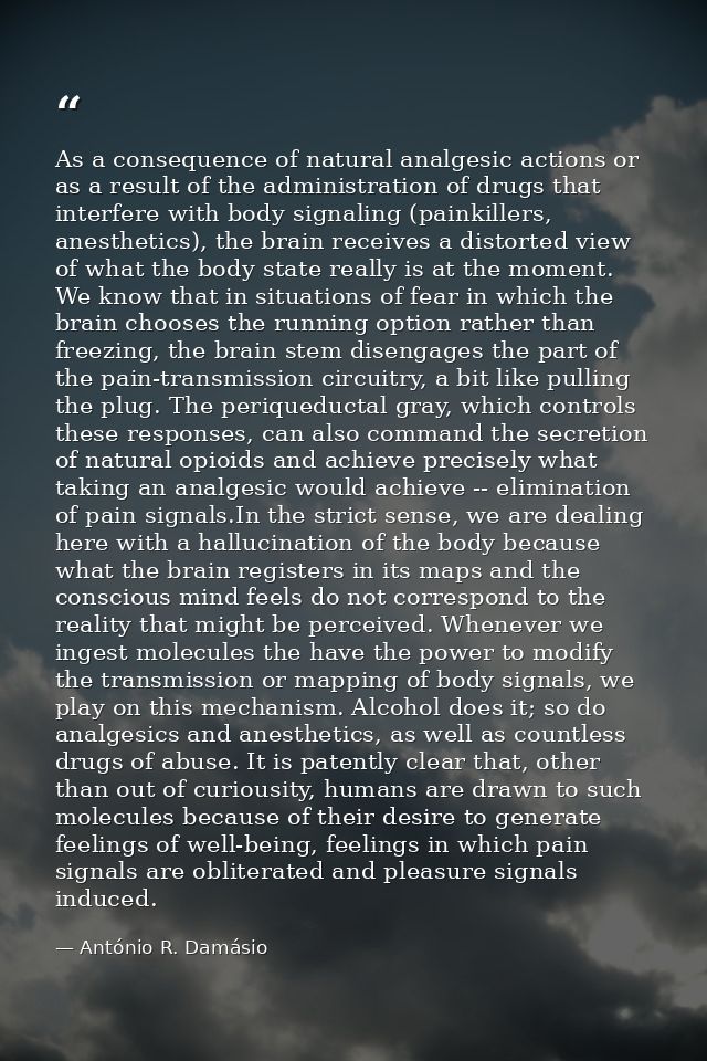 As a consequence of natural analgesic actions or as a result of the administration of drugs that interfere with body sig — António R. Damásio