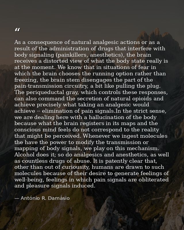 As a consequence of natural analgesic actions or as a result of the administration of drugs that interfere with body sig — António R. Damásio