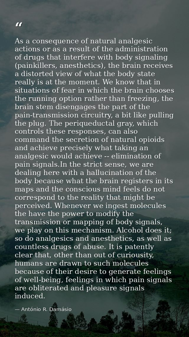 As a consequence of natural analgesic actions or as a result of the administration of drugs that interfere with body sig — António R. Damásio