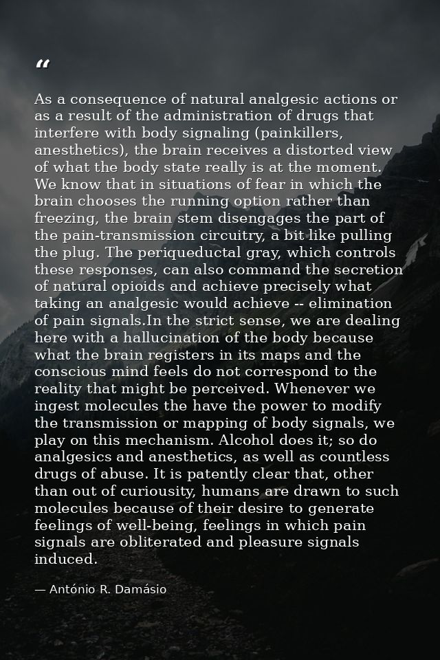 As a consequence of natural analgesic actions or as a result of the administration of drugs that interfere with body sig — António R. Damásio