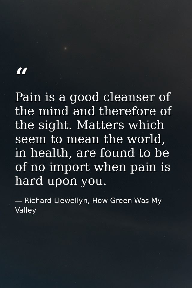 Pain is a good cleanser of the mind and therefore of the sight. Matters which seem to mean the world, in health, are fou — Richard Llewellyn, How Green Was My Valley