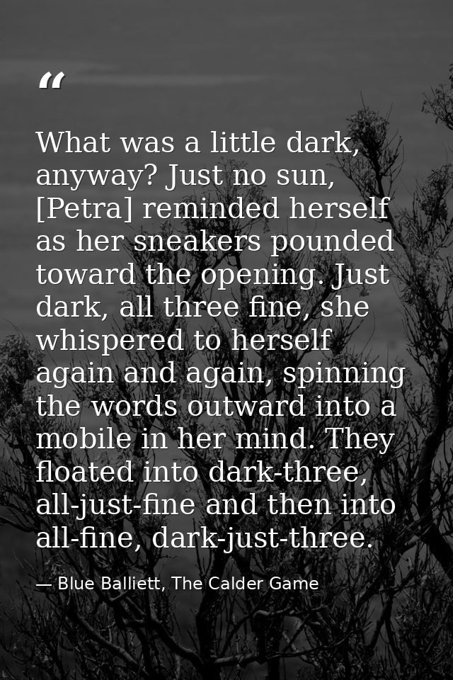 What was a little dark, anyway? Just no sun, [Petra] reminded herself as her sneakers pounded toward the opening. Just d — Blue Balliett, The Calder Game