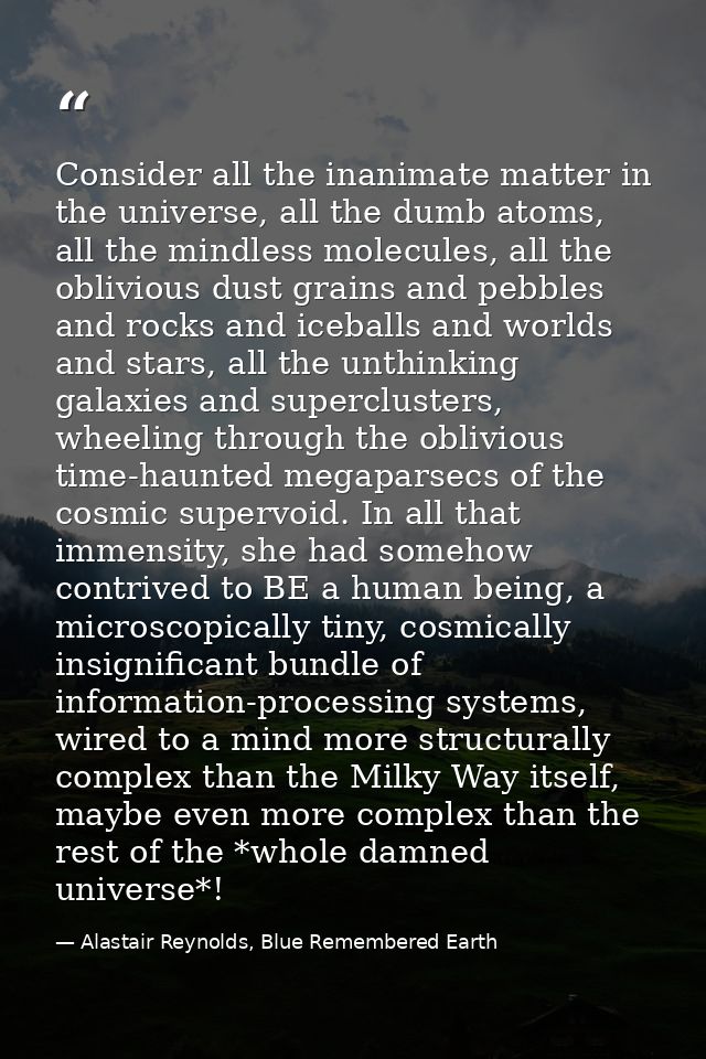 Consider all the inanimate matter in the universe, all the dumb atoms, all the mindless molecules, all the oblivious dus — Alastair Reynolds, Blue Remembered Earth