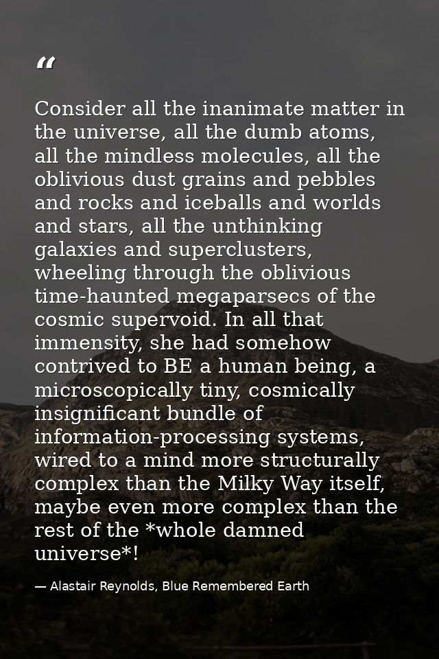 Consider all the inanimate matter in the universe, all the dumb atoms, all the mindless molecules, all the oblivious dus — Alastair Reynolds, Blue Remembered Earth