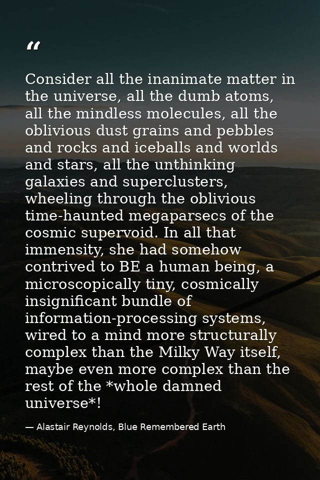 Consider all the inanimate matter in the universe, all the dumb atoms, all the mindless molecules, all the oblivious dus — Alastair Reynolds, Blue Remembered Earth