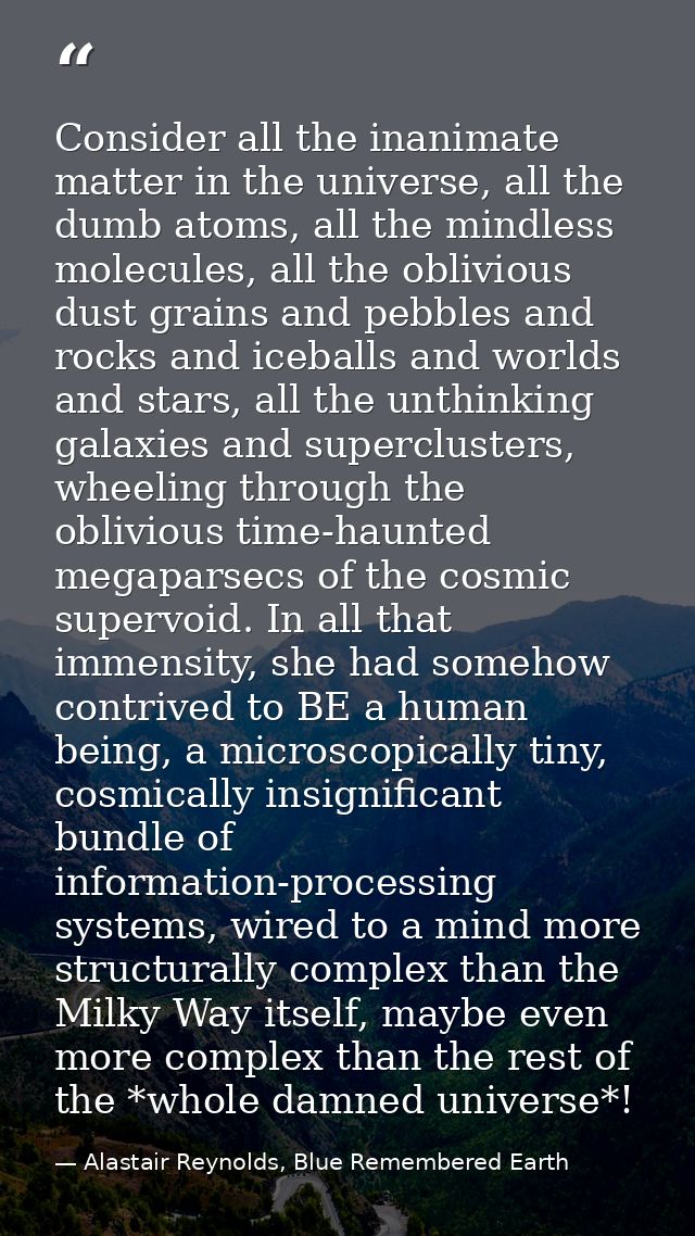 Consider all the inanimate matter in the universe, all the dumb atoms, all the mindless molecules, all the oblivious dus — Alastair Reynolds, Blue Remembered Earth
