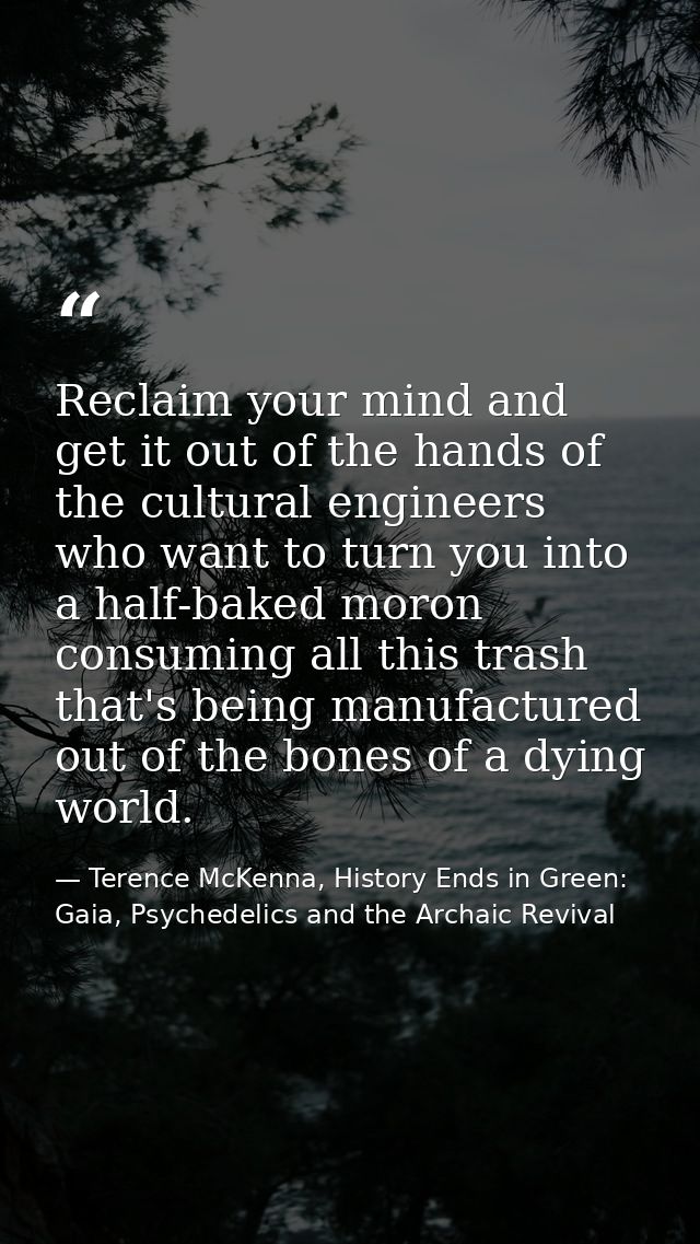 Reclaim your mind and get it out of the hands of the cultural engineers who want to turn you into a half-baked moron con — Terence McKenna, History Ends in Green: Gaia, Psychedelics and the Archaic Revival