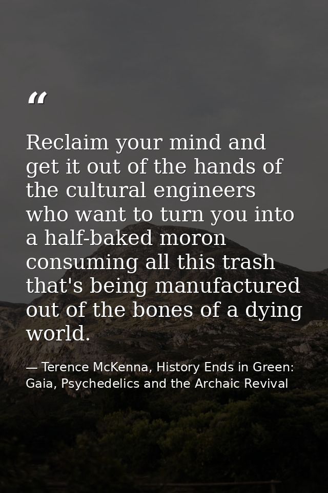 Reclaim your mind and get it out of the hands of the cultural engineers who want to turn you into a half-baked moron con — Terence McKenna, History Ends in Green: Gaia, Psychedelics and the Archaic Revival