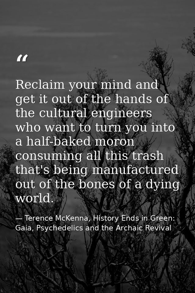 Reclaim your mind and get it out of the hands of the cultural engineers who want to turn you into a half-baked moron con — Terence McKenna, History Ends in Green: Gaia, Psychedelics and the Archaic Revival