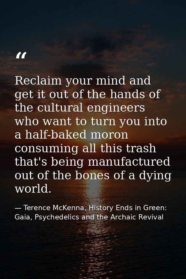 Reclaim your mind and get it out of the hands of the cultural engineers who want to turn you into a half-baked moron con — Terence McKenna, History Ends in Green: Gaia, Psychedelics and the Archaic Revival
