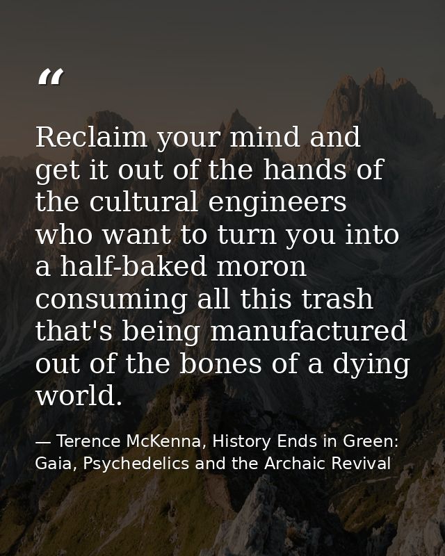 Reclaim your mind and get it out of the hands of the cultural engineers who want to turn you into a half-baked moron con — Terence McKenna, History Ends in Green: Gaia, Psychedelics and the Archaic Revival