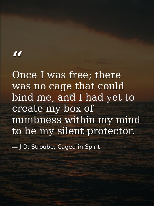 Once I was free; there was no cage that could bind me, and I had yet to create my box of numbness within my mind to be m — J.D. Stroube, Caged in Spirit