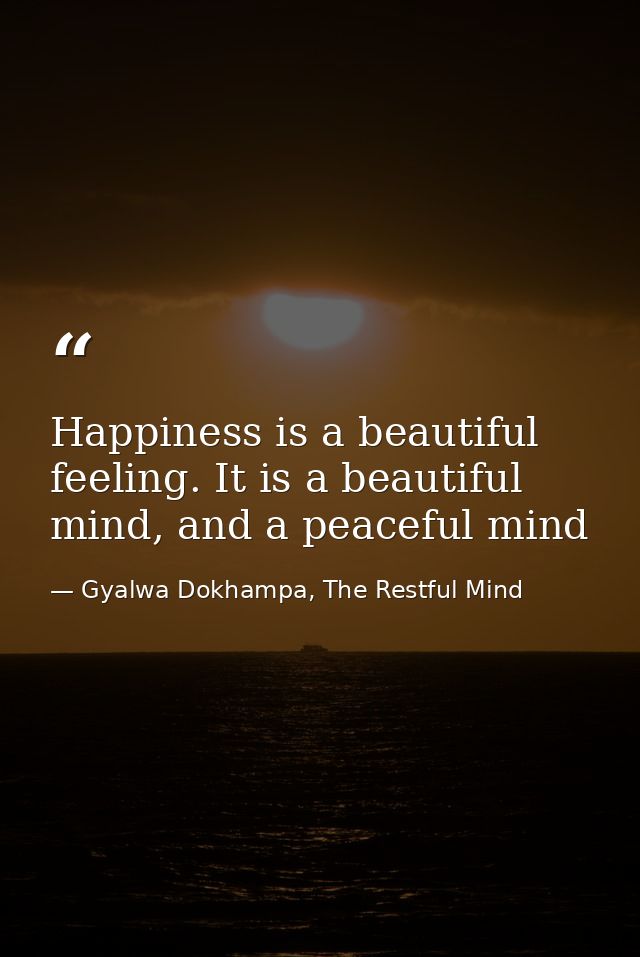 Happiness is a beautiful feeling. It is a beautiful mind, and a peaceful mind — Gyalwa Dokhampa, The Restful Mind