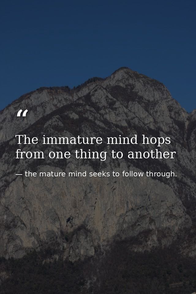 The immature mind hops from one thing to another — the mature mind seeks to follow through.