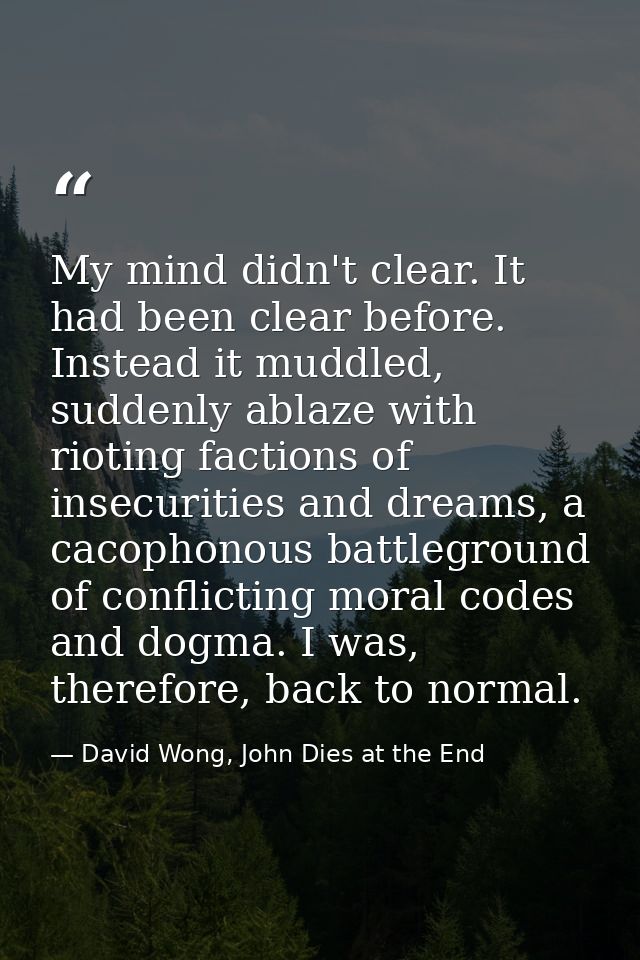 My mind didn't clear. It had been clear before. Instead it muddled, suddenly ablaze with rioting factions of insecuritie — David Wong, John Dies at the End