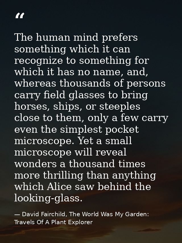 The human mind prefers something which it can recognize to something for which it has no name, and, whereas thousands of — David Fairchild, The World Was My Garden: Travels Of A Plant Explorer
