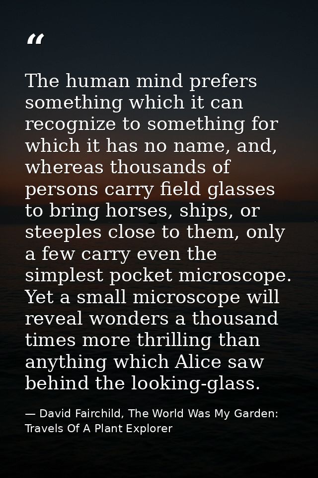 The human mind prefers something which it can recognize to something for which it has no name, and, whereas thousands of — David Fairchild, The World Was My Garden: Travels Of A Plant Explorer