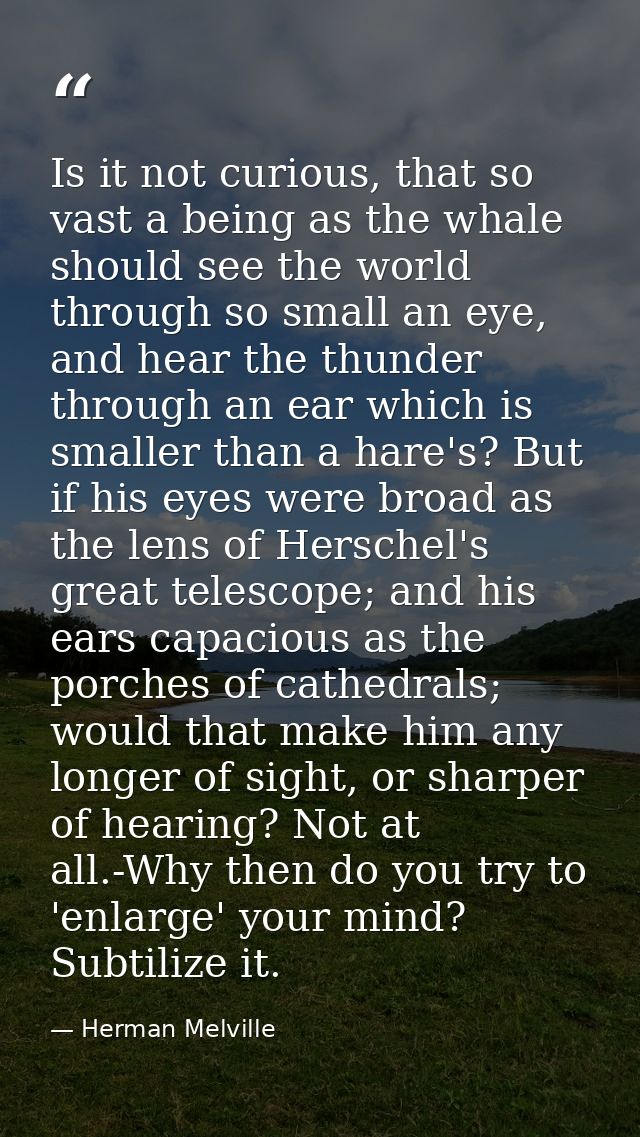 Is it not curious, that so vast a being as the whale should see the world through so small an eye, and hear the thunder  — Herman Melville