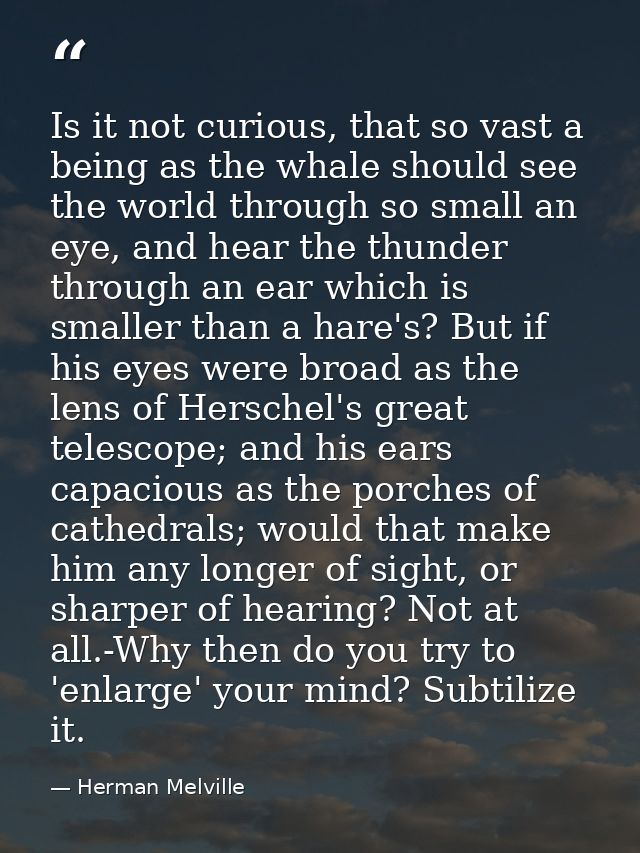 Is it not curious, that so vast a being as the whale should see the world through so small an eye, and hear the thunder  — Herman Melville