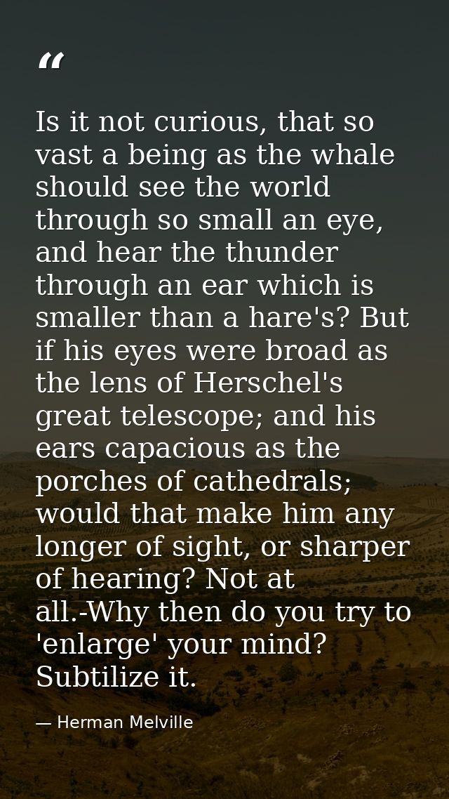 Is it not curious, that so vast a being as the whale should see the world through so small an eye, and hear the thunder  — Herman Melville