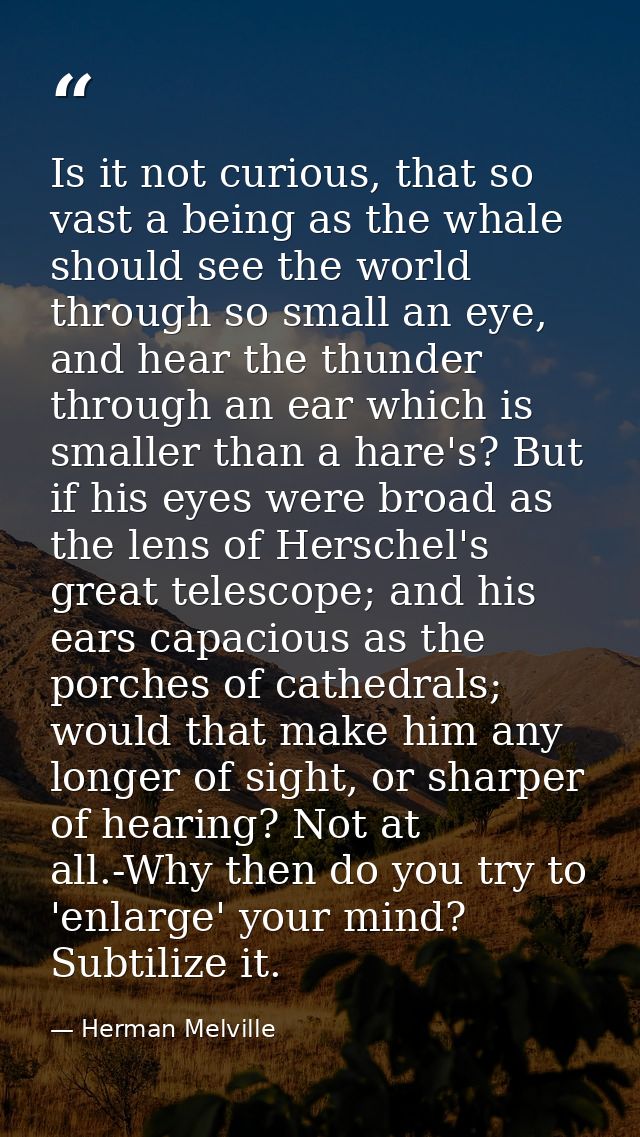 Is it not curious, that so vast a being as the whale should see the world through so small an eye, and hear the thunder  — Herman Melville
