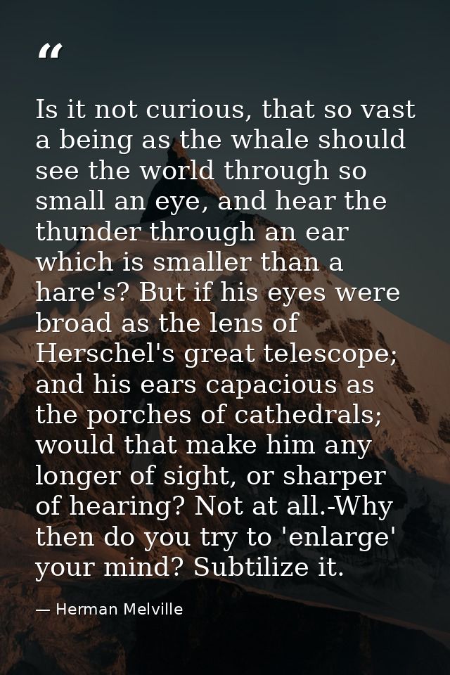 Is it not curious, that so vast a being as the whale should see the world through so small an eye, and hear the thunder  — Herman Melville