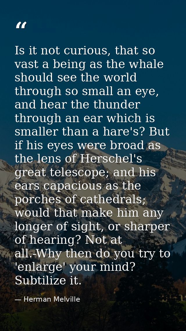 Is it not curious, that so vast a being as the whale should see the world through so small an eye, and hear the thunder  — Herman Melville
