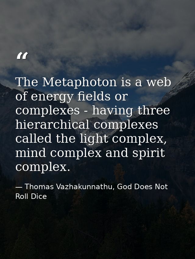 The Metaphoton is a web of energy fields or complexes - having three hierarchical complexes called the light complex, mi — Thomas Vazhakunnathu, God Does Not Roll Dice