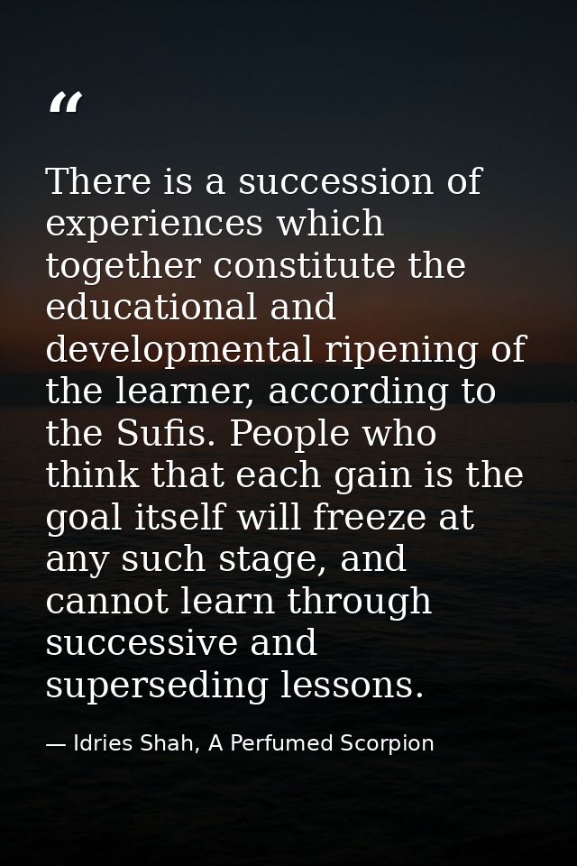 There is a succession of experiences which together constitute the educational and developmental ripening of the learner — Idries Shah, A Perfumed Scorpion