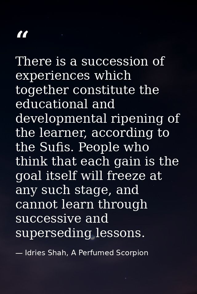 There is a succession of experiences which together constitute the educational and developmental ripening of the learner — Idries Shah, A Perfumed Scorpion