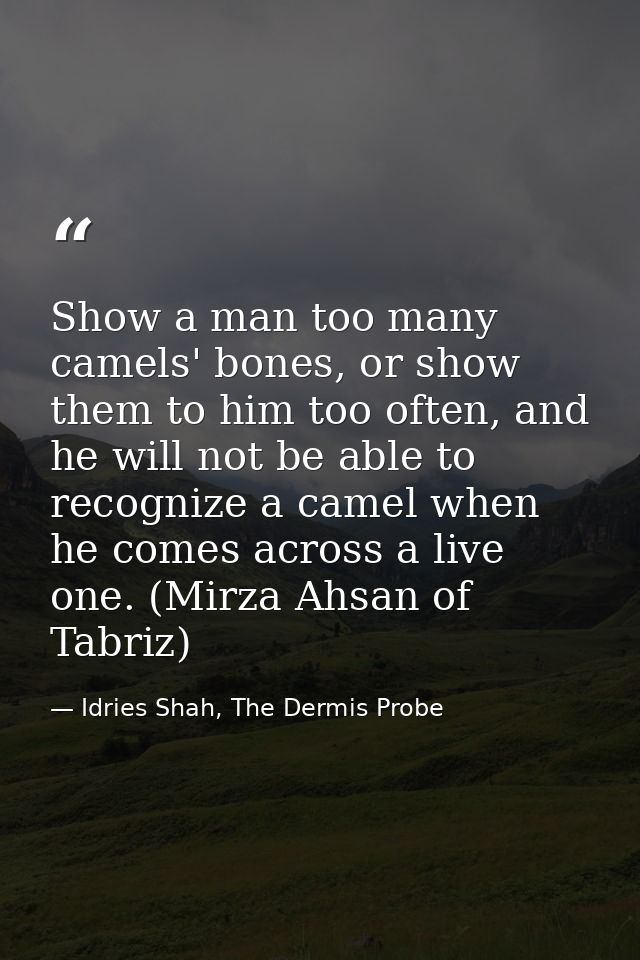 Show a man too many camels' bones, or show them to him too often, and he will not be able to recognize a camel when he c — Idries Shah, The Dermis Probe