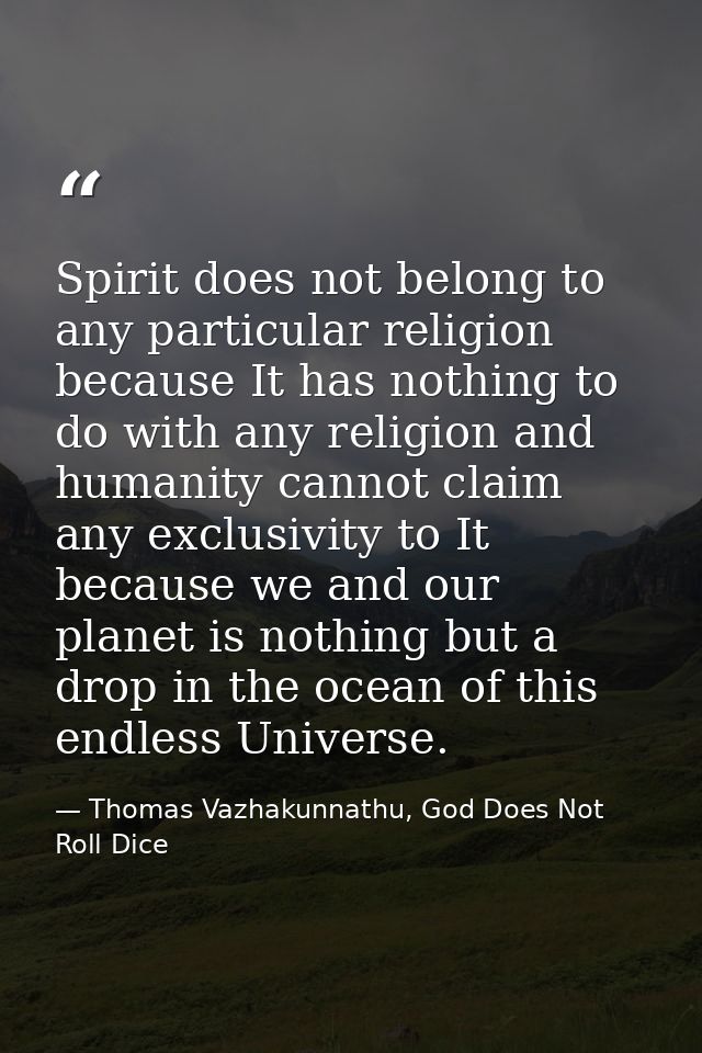 Spirit does not belong to any particular religion because It has nothing to do with any religion and humanity cannot cla — Thomas Vazhakunnathu, God Does Not Roll Dice