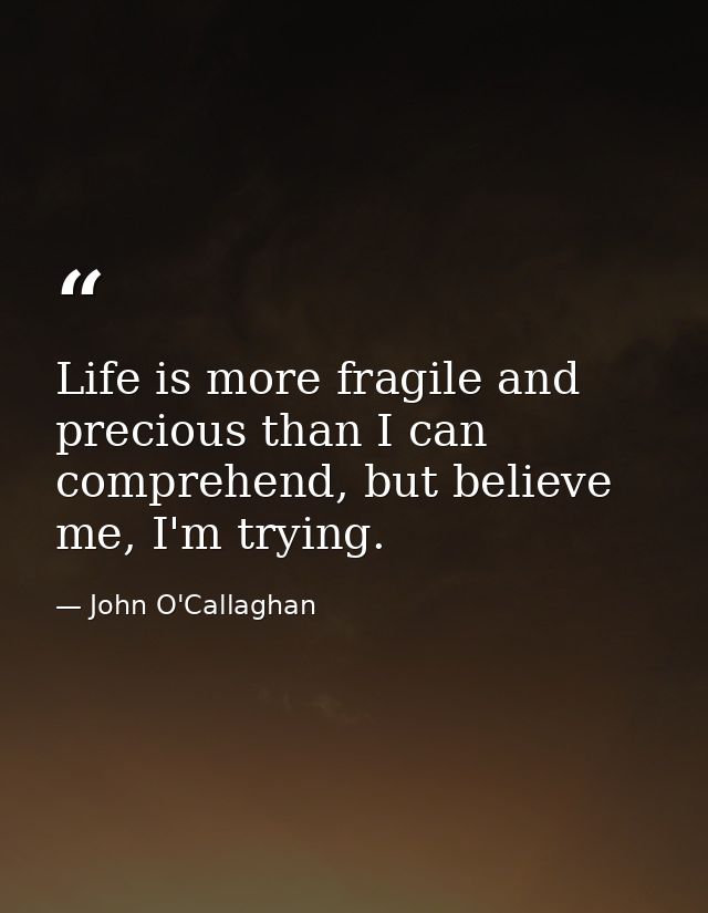Life is more fragile and precious than I can comprehend, but believe me, I'm trying. — John O'Callaghan
