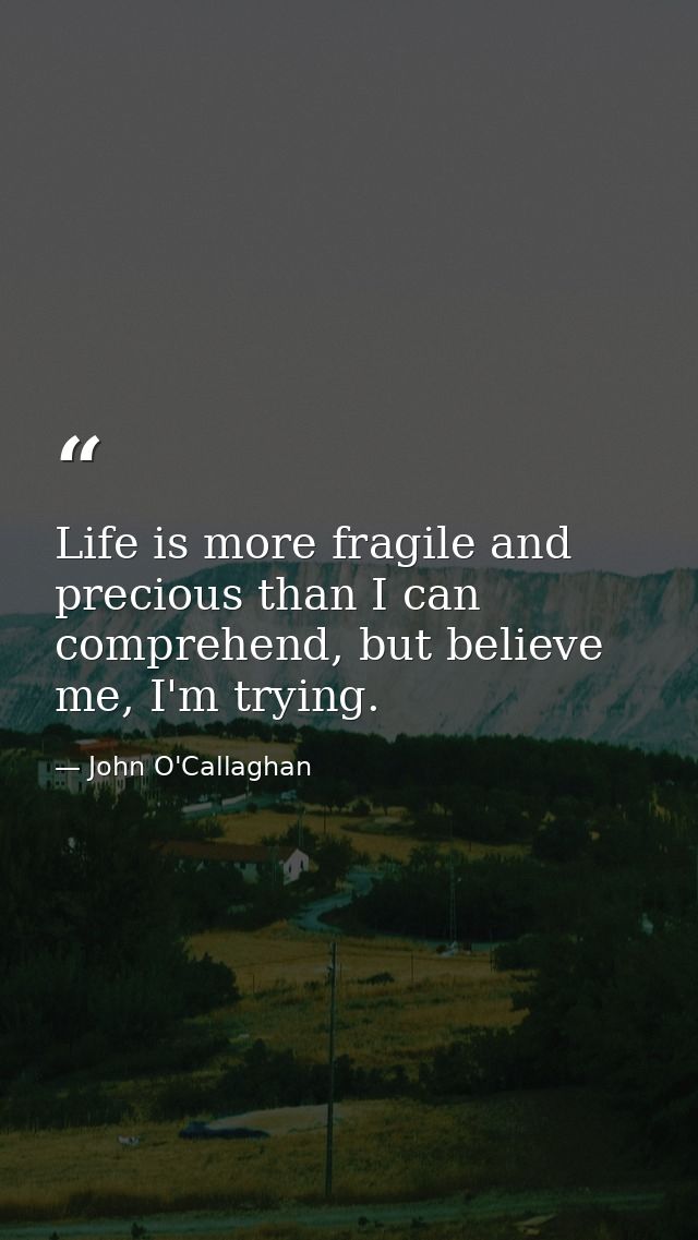 Life is more fragile and precious than I can comprehend, but believe me, I'm trying. — John O'Callaghan