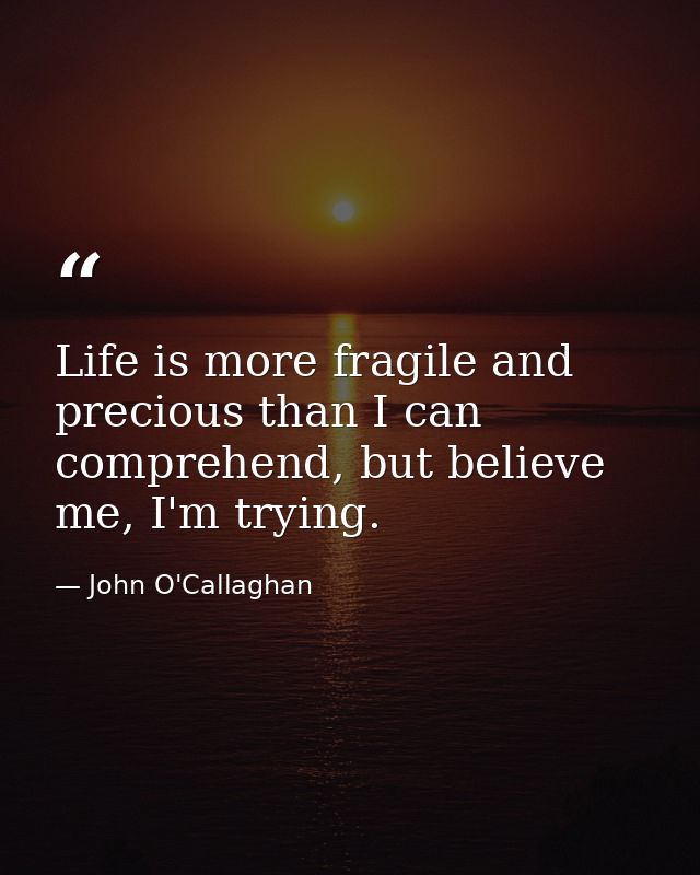Life is more fragile and precious than I can comprehend, but believe me, I'm trying. — John O'Callaghan