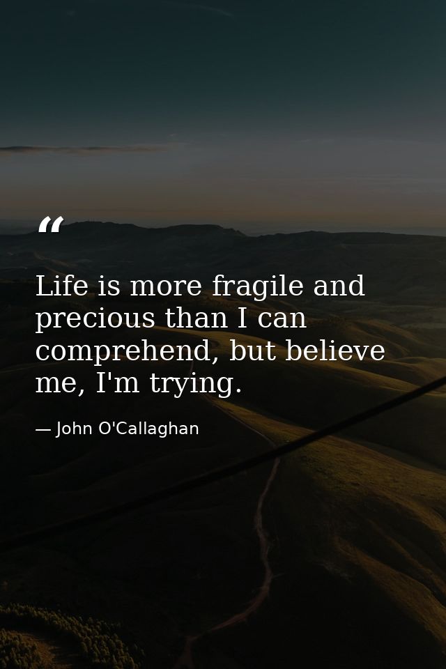 Life is more fragile and precious than I can comprehend, but believe me, I'm trying. — John O'Callaghan