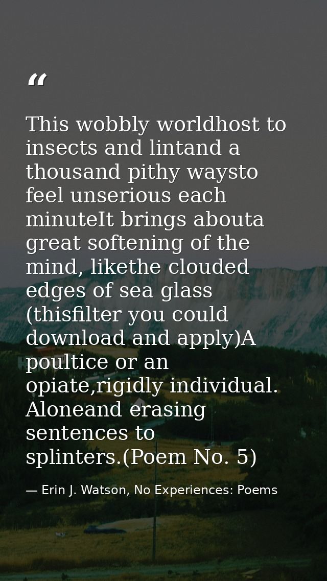 This wobbly worldhost to insects and lintand a thousand pithy waysto feel unserious each minuteIt brings abouta great so — Erin J. Watson, No Experiences: Poems