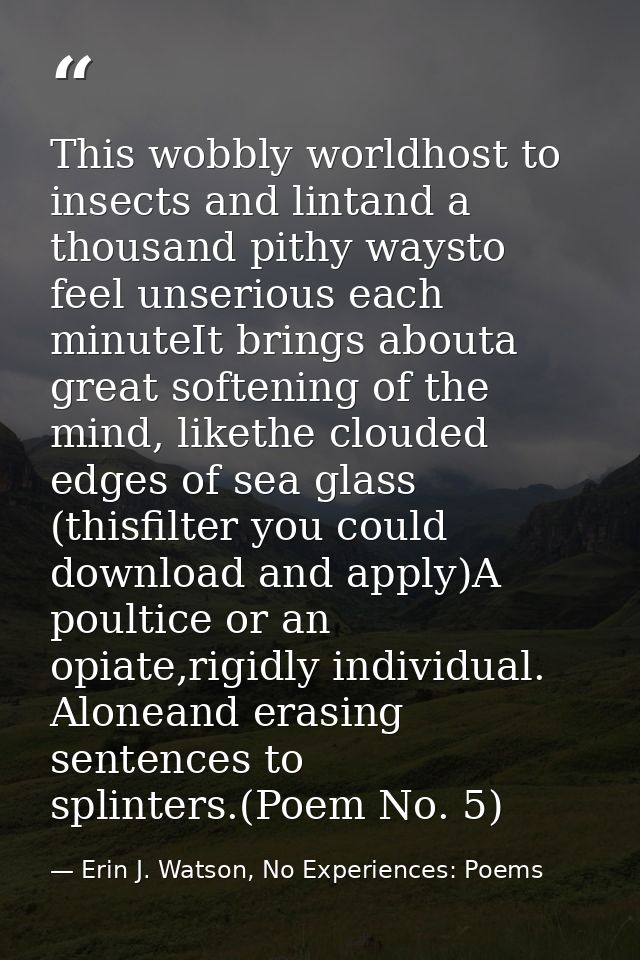 This wobbly worldhost to insects and lintand a thousand pithy waysto feel unserious each minuteIt brings abouta great so — Erin J. Watson, No Experiences: Poems