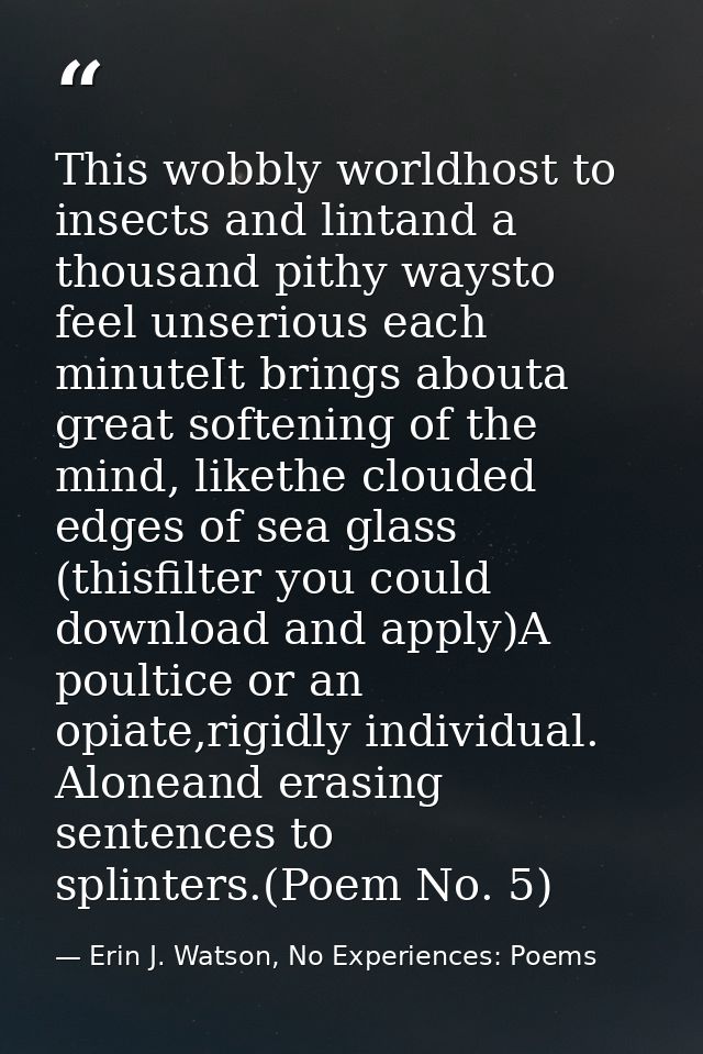 This wobbly worldhost to insects and lintand a thousand pithy waysto feel unserious each minuteIt brings abouta great so — Erin J. Watson, No Experiences: Poems