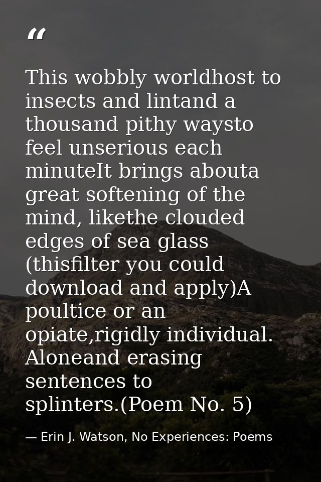 This wobbly worldhost to insects and lintand a thousand pithy waysto feel unserious each minuteIt brings abouta great so — Erin J. Watson, No Experiences: Poems