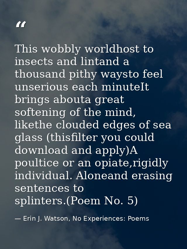 This wobbly worldhost to insects and lintand a thousand pithy waysto feel unserious each minuteIt brings abouta great so — Erin J. Watson, No Experiences: Poems