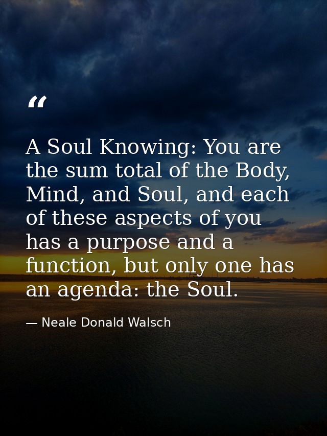 A Soul Knowing: You are the sum total of the Body, Mind, and Soul, and each of these aspects of you has a purpose and a  — Neale Donald Walsch