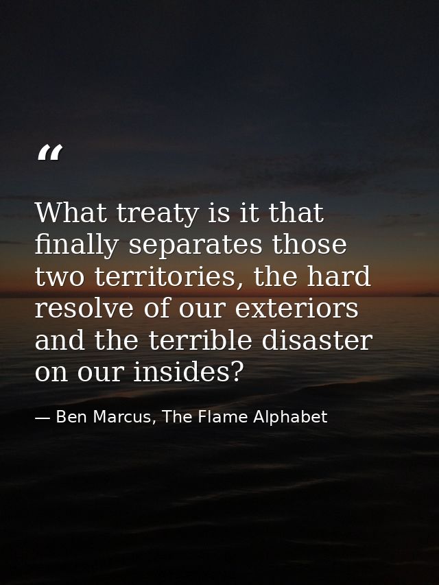 What treaty is it that finally separates those two territories, the hard resolve of our exteriors and the terrible disas — Ben Marcus, The Flame Alphabet