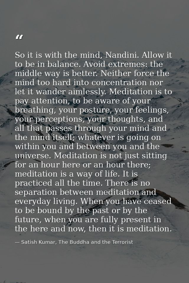 So it is with the mind, Nandini. Allow it to be in balance. Avoid extremes: the middle way is better. Neither force the  — Satish Kumar, The Buddha and the Terrorist