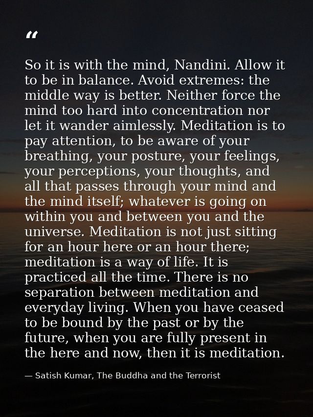 So it is with the mind, Nandini. Allow it to be in balance. Avoid extremes: the middle way is better. Neither force the  — Satish Kumar, The Buddha and the Terrorist