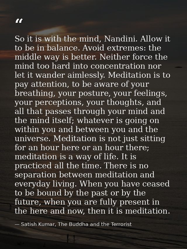 So it is with the mind, Nandini. Allow it to be in balance. Avoid extremes: the middle way is better. Neither force the  — Satish Kumar, The Buddha and the Terrorist